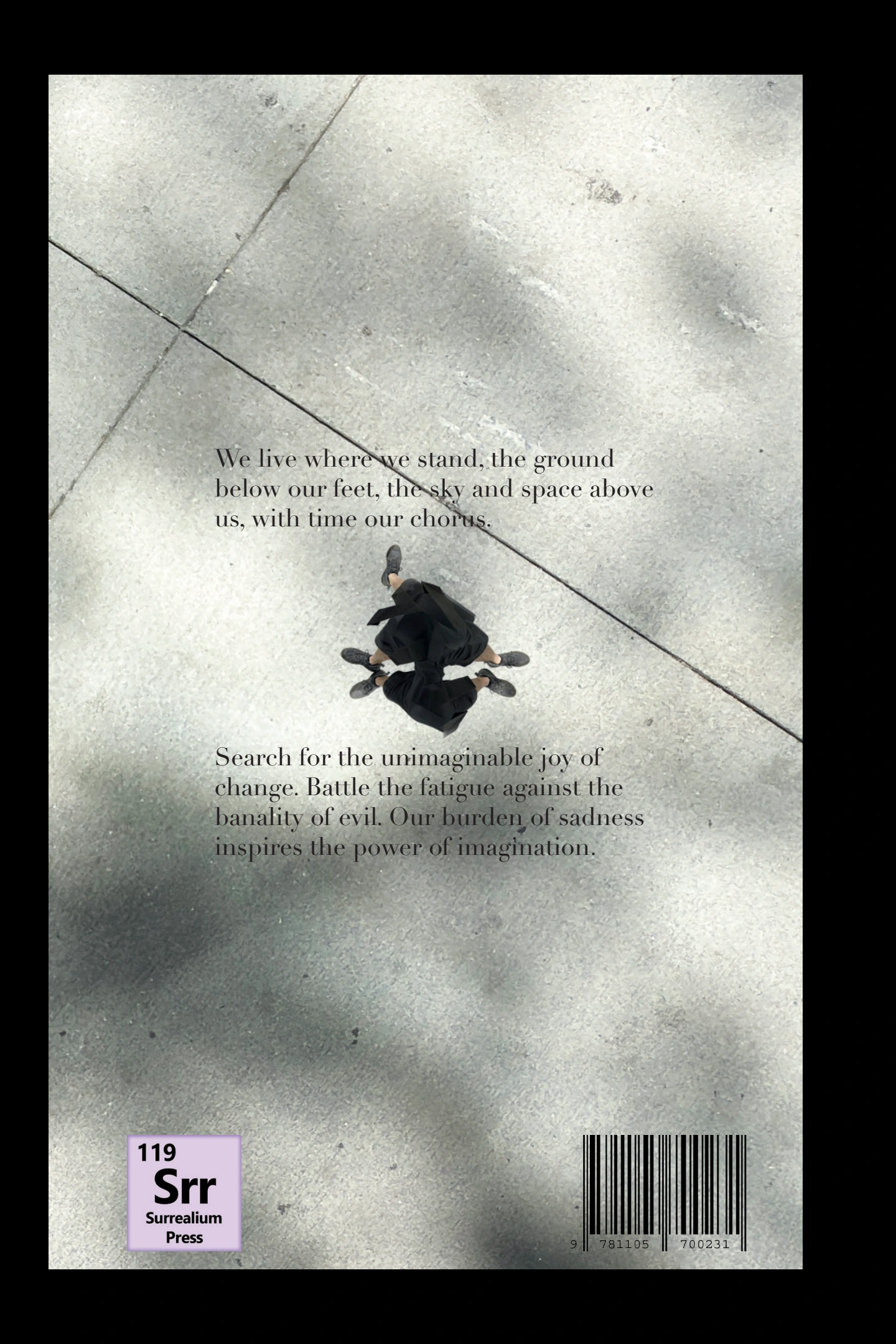 Caliber back cover